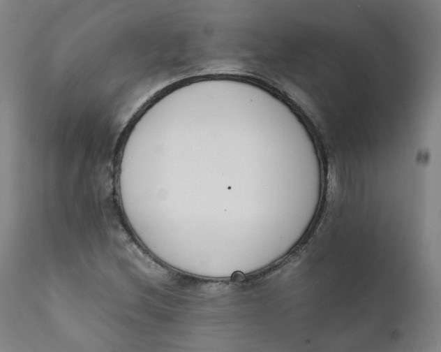 X0000111781212200908131340