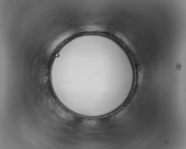 X0000111781213200908131340