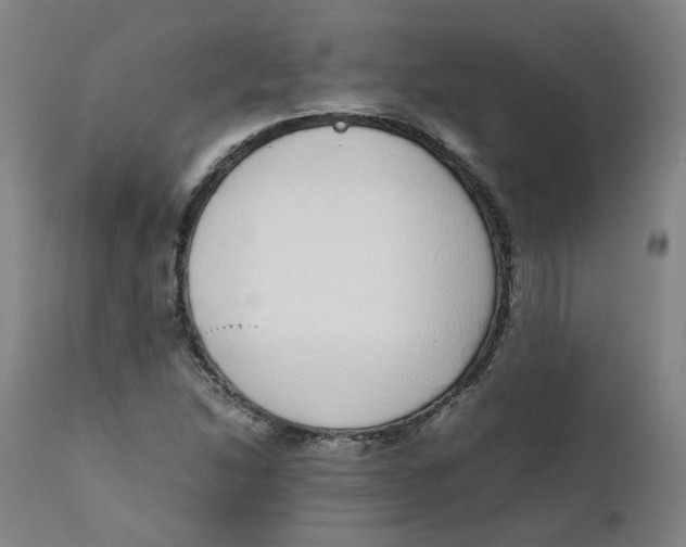 X0000111781214200908131340