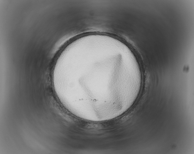 X0000111781215200908131340