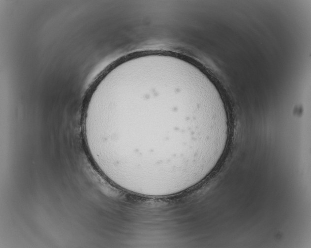 X0000111781216200908131340