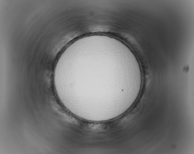 X0000111781217200908131340