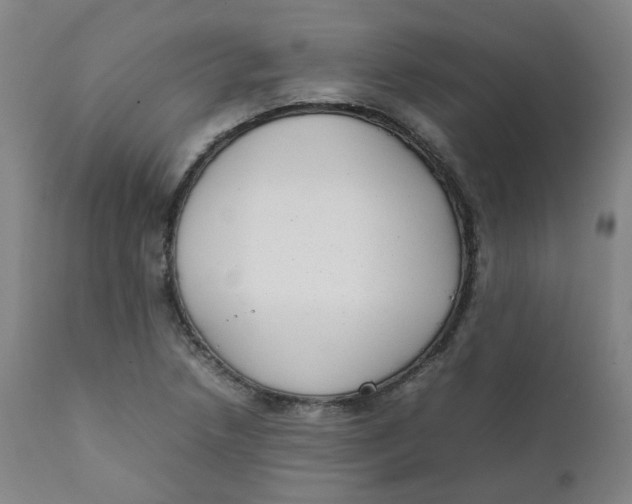 X0000111781218200908131340