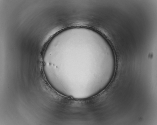 X0000111781219200908131340