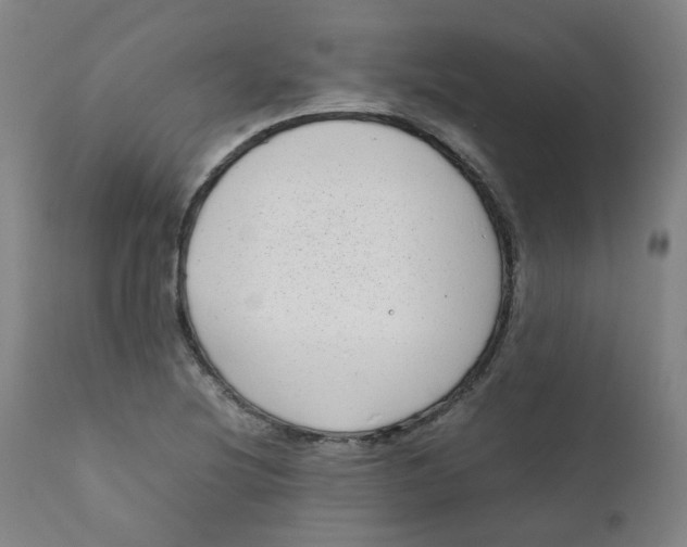 X0000111781220200908131340