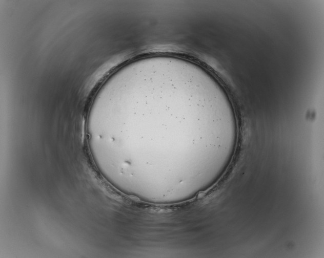 X0000111781221200908131340