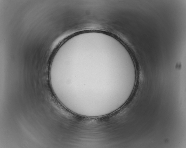 X0000111781222200908131340