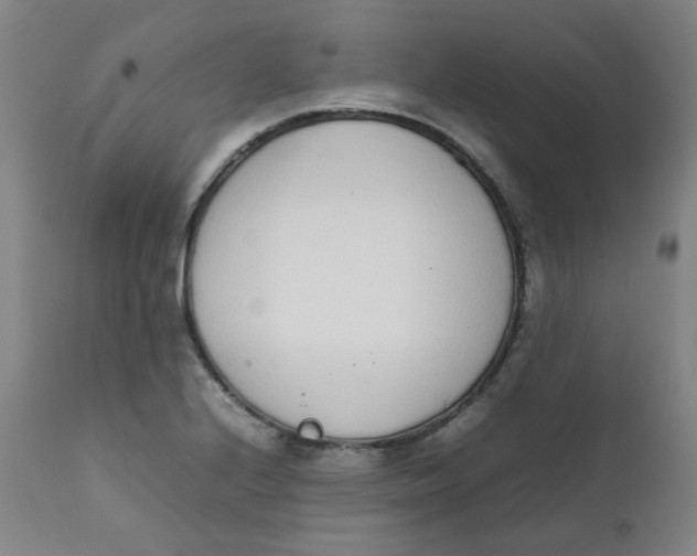 X0000111781224200908131340