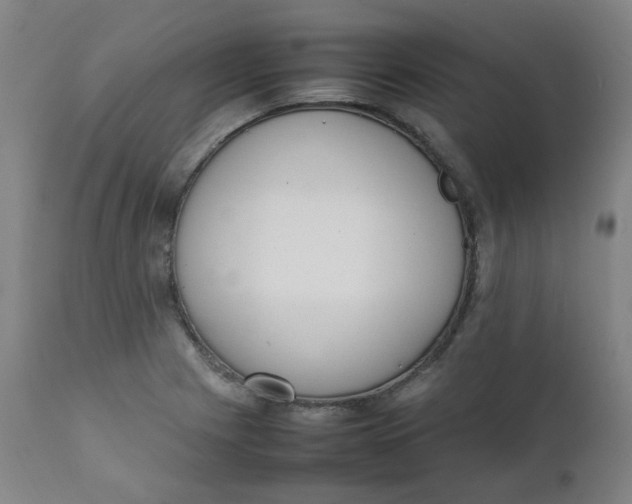 X0000111781225200908131340