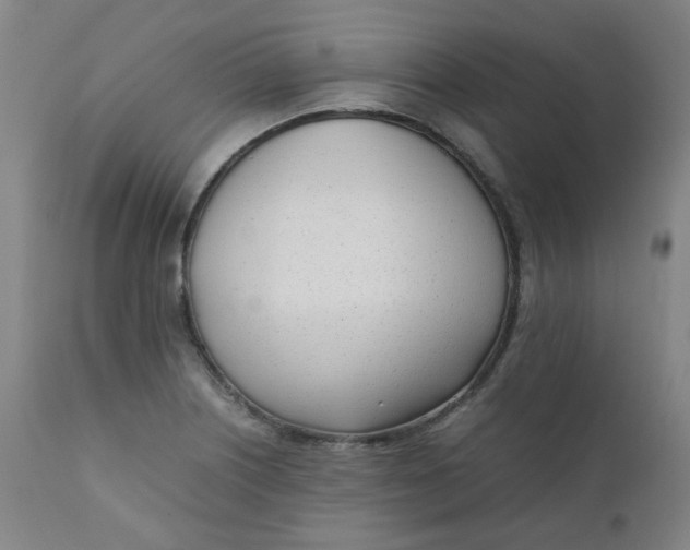 X0000111781226200908131340