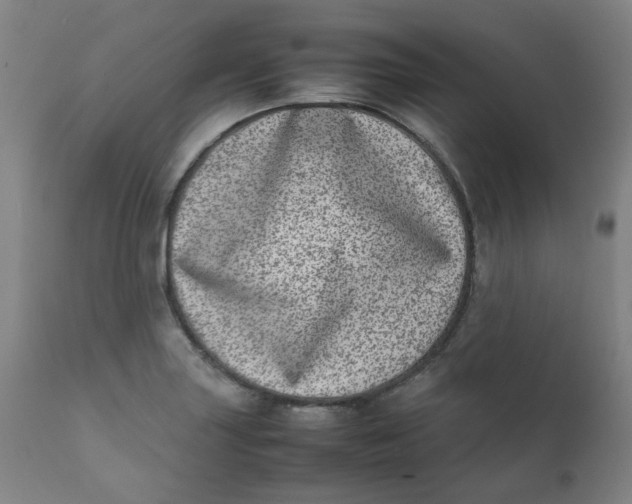 X0000111781227200908131340