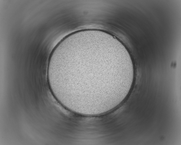 X0000111781228200908131340