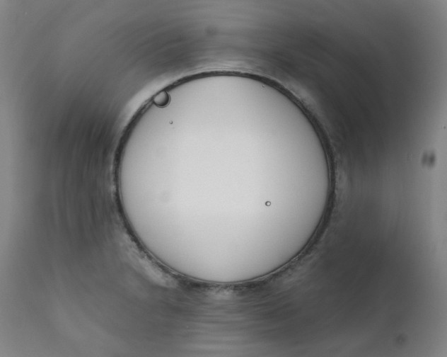 X0000111781230200908131340