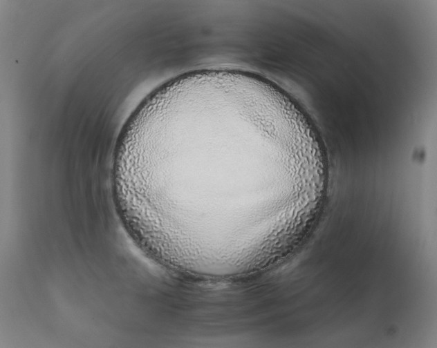 X0000111781231200908131340