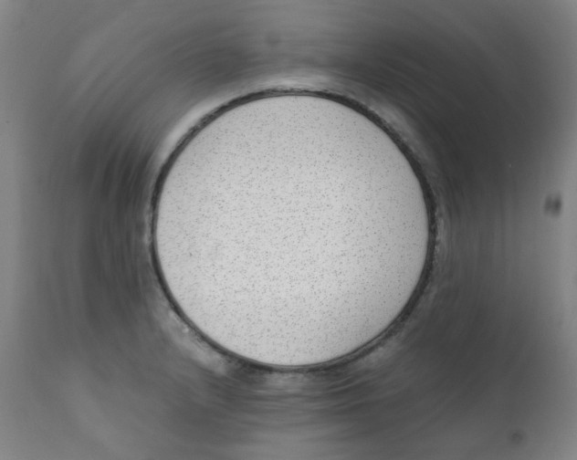X0000111781232200908131340