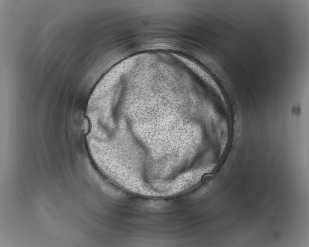 X0000111781233200908131340