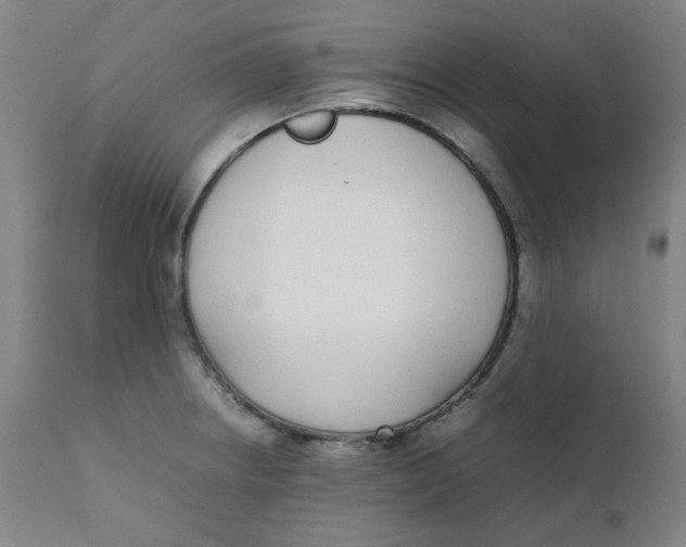 X0000111781234200908131340