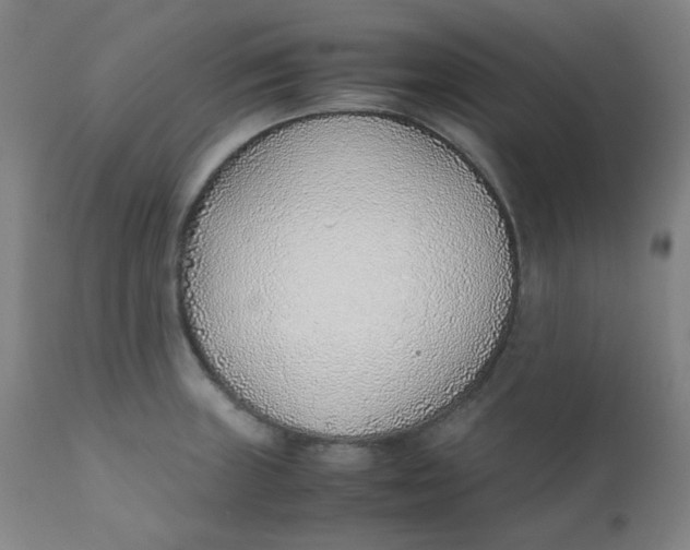 X0000111781235200908131340