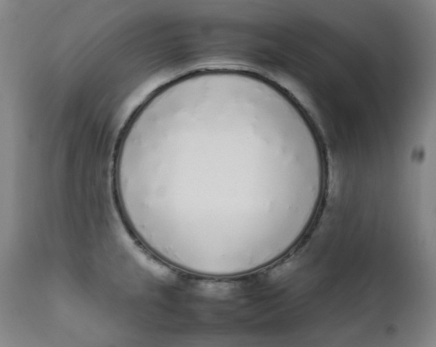 X0000111781237200908131340