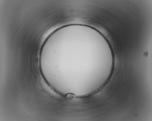 X0000111781238200908131340