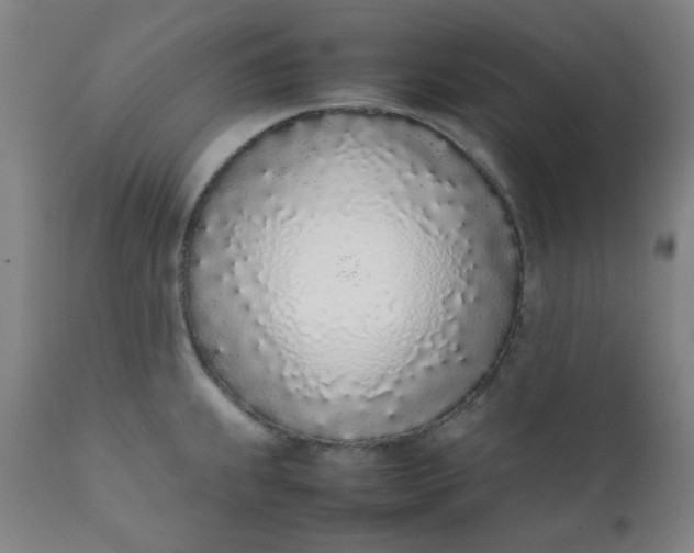 X0000111781239200908131341