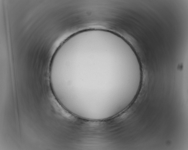 X0000111781240200908131341