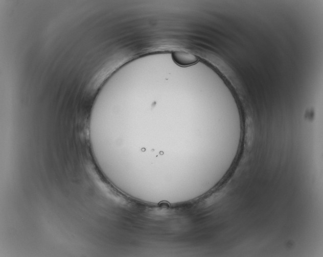 X0000111781241200908131341