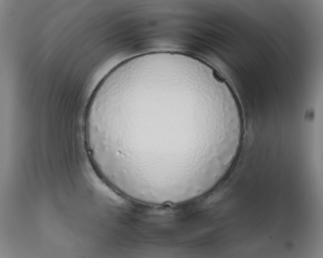 X0000111781243200908131341