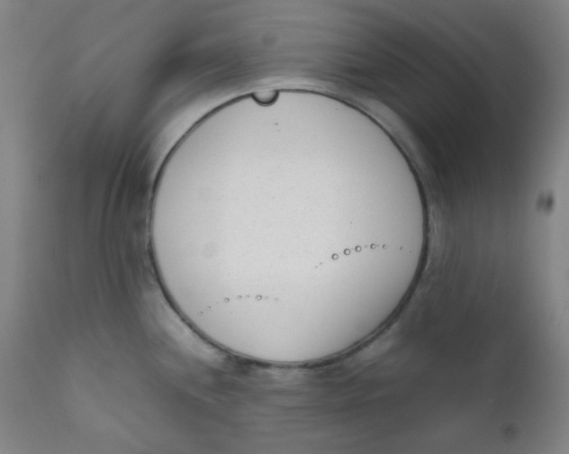 X0000111781244200908131341