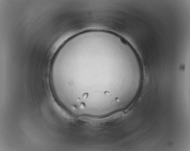 X0000111781245200908131341