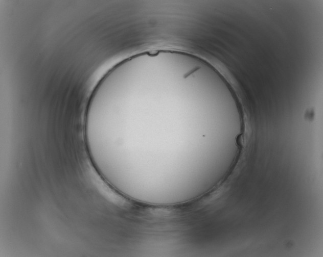 X0000111781246200908131341