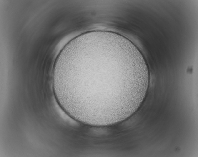 X0000111781247200908131341