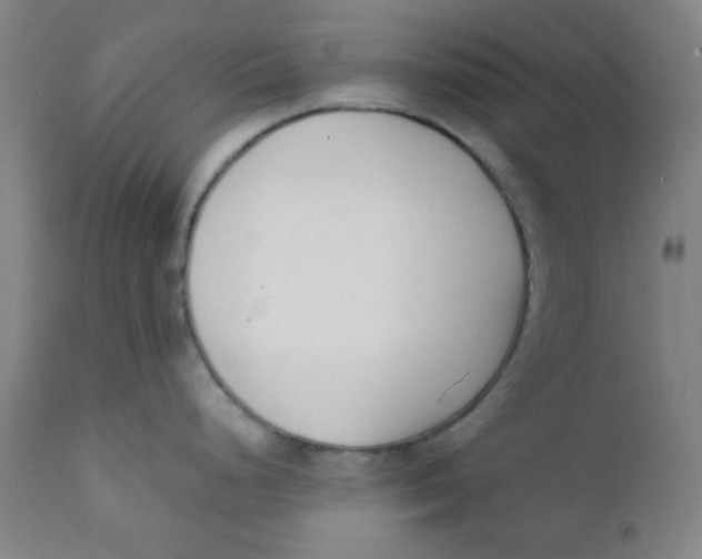 X0000111781248200908131341