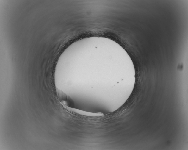 X0000111781249200908131340
