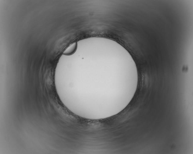 X0000111781250200908131340