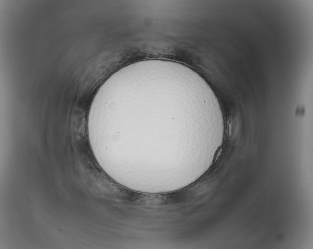 X0000111781251200908131340