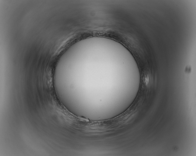 X0000111781252200908131340