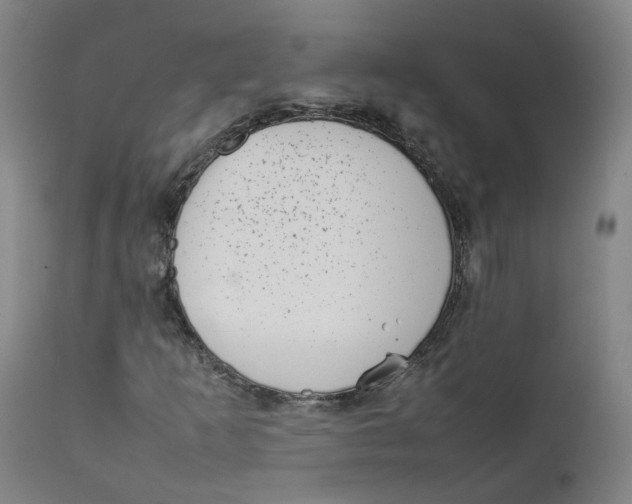 X0000111781253200908131340