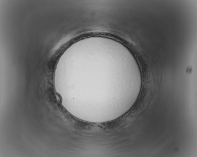 X0000111781255200908131340