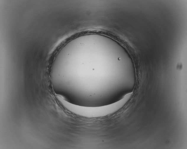 X0000111781256200908131340
