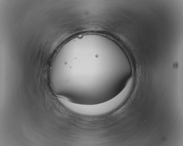 X0000111781257200908131340