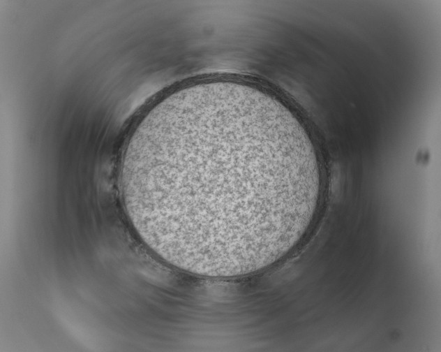 X0000111781258200908131340