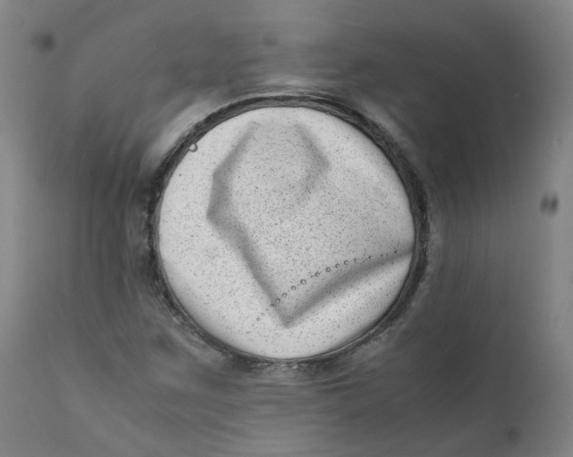 X0000111781259200908131340