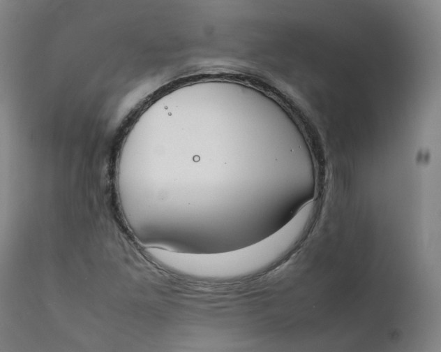 X0000111781261200908131340