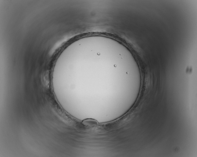 X0000111781262200908131340