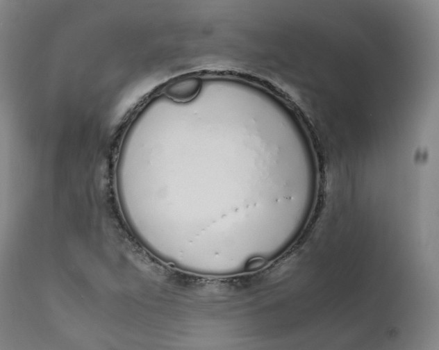 X0000111781263200908131340