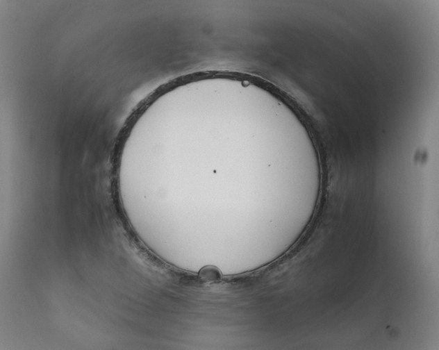 X0000111781264200908131340