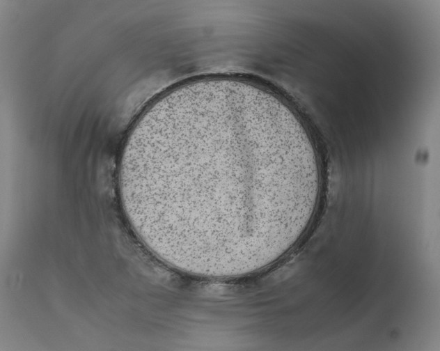 X0000111781265200908131340