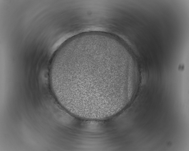 X0000111781266200908131340