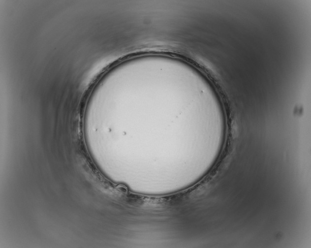 X0000111781267200908131340